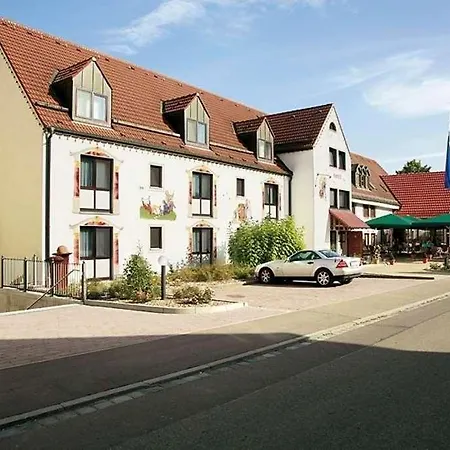 Hirsch 4*