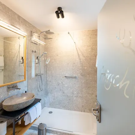 Hotel Hirsch 4*